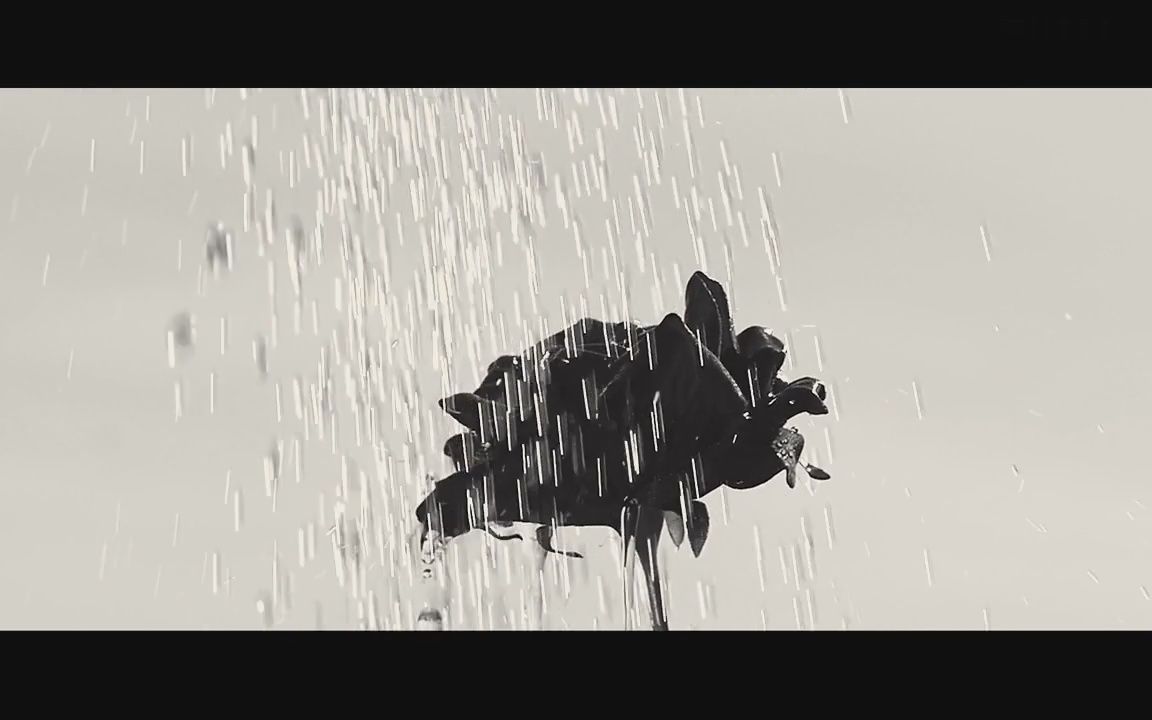 【空镜】花|草木|流水|意识流
