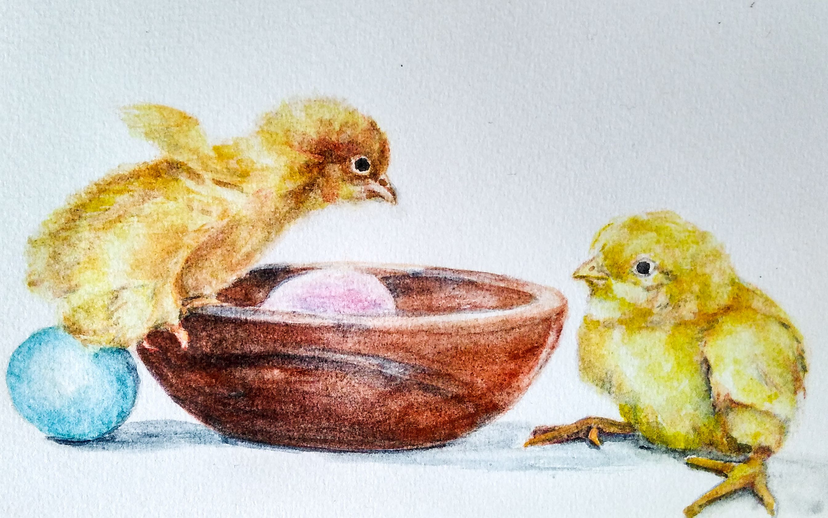 【水彩过程】萌鸡组合