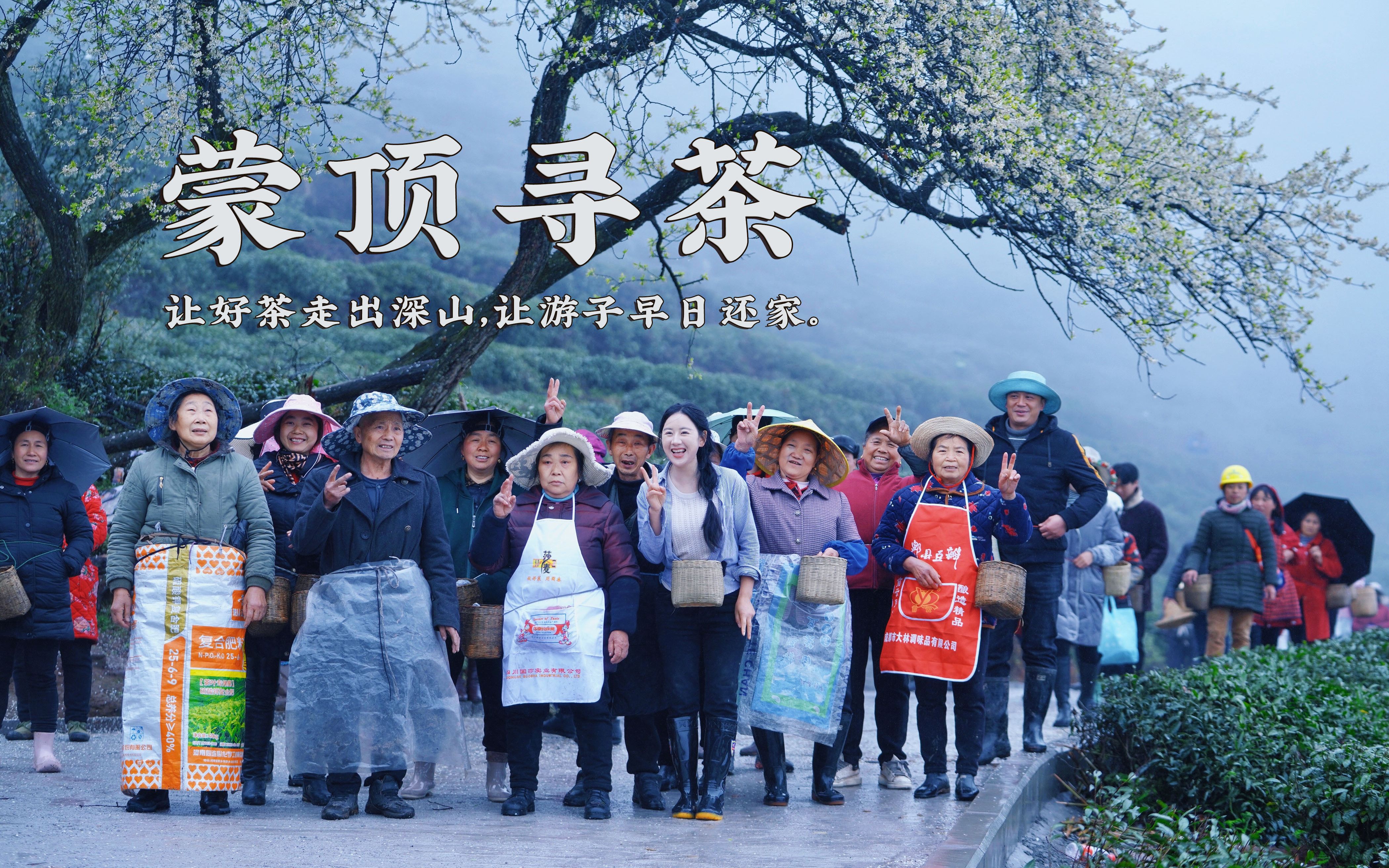 探访世界茶文化发源地——蒙顶山,让好茶走出深山,让游子早日还家哔哩哔哩bilibili