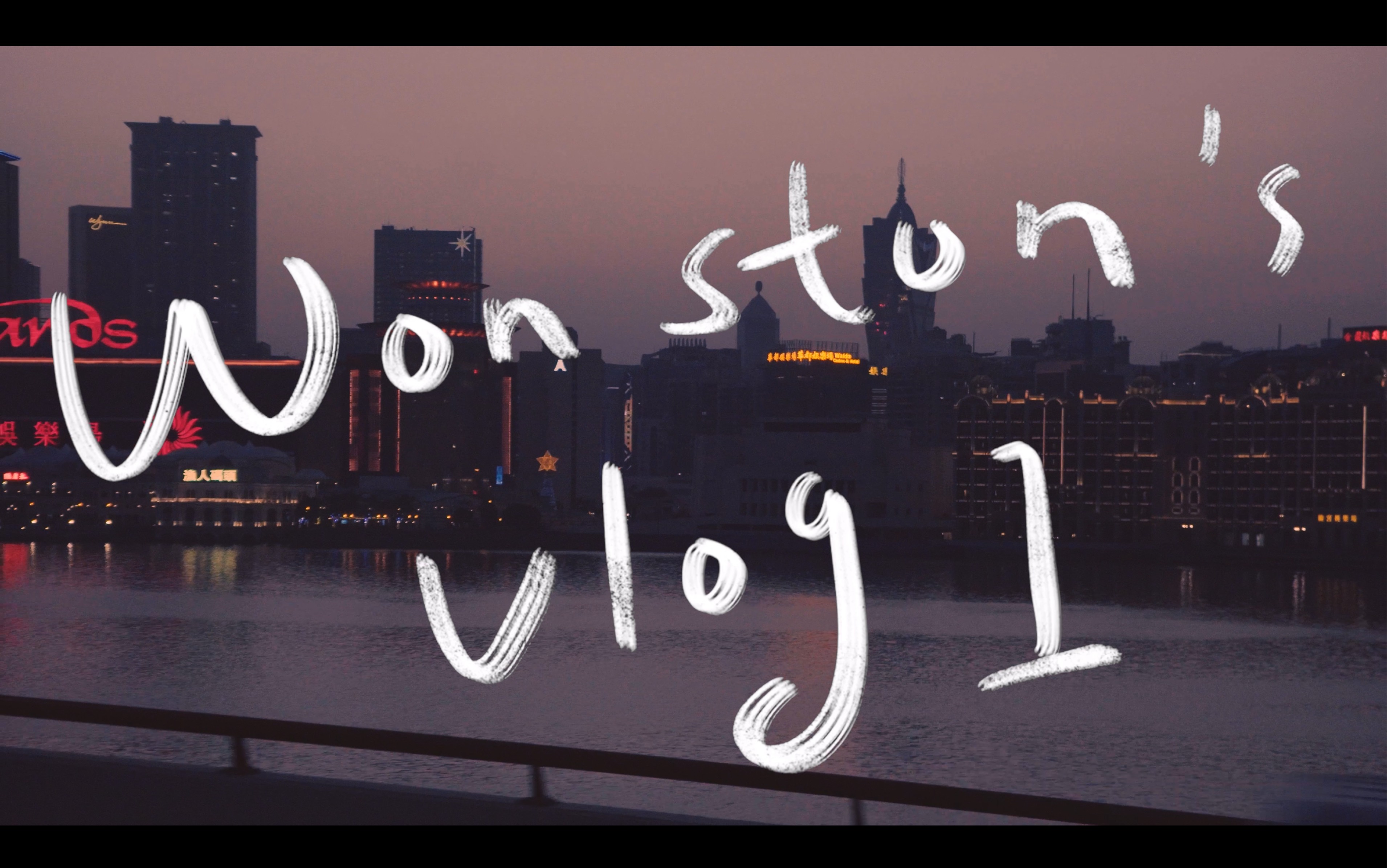 12020年结束了072021年继续快乐91本命年放我一马04