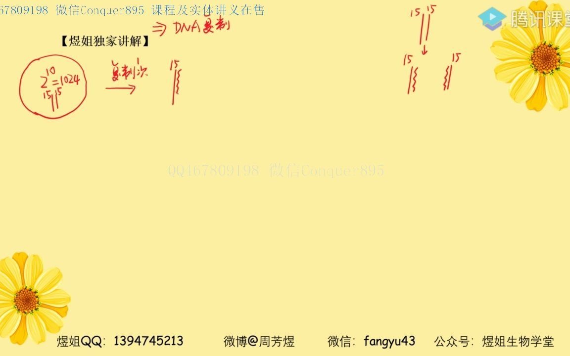 1.【核心知识】DNA放射性同位素标记~1哔哩哔哩bilibili