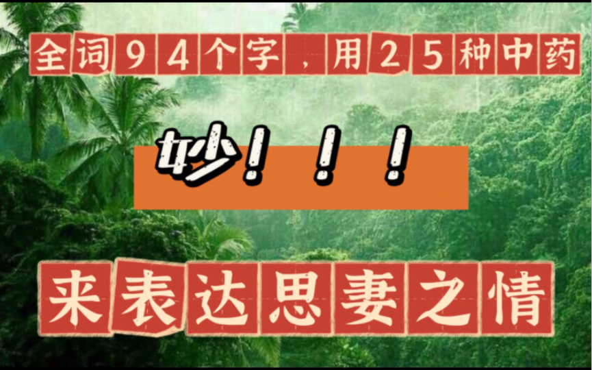 全词94个字,用25种中药入词,来表达思念妻子之情,巧妙运用中药名的字面意思,妙!哔哩哔哩bilibili