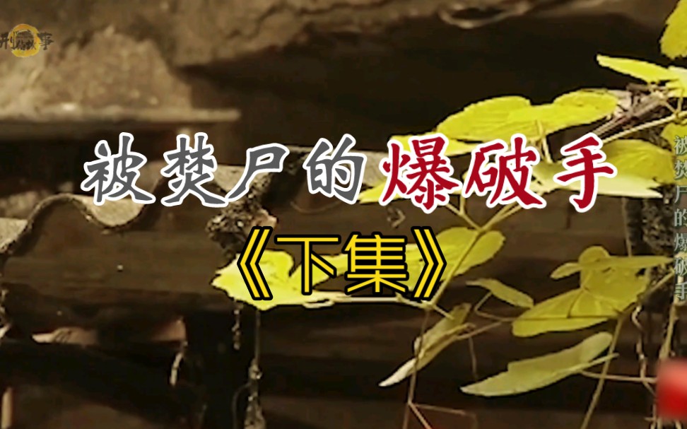 湖北省广水市杨寨镇→2013年10月22日《被焚尸的爆破手》下集哔哩哔哩bilibili