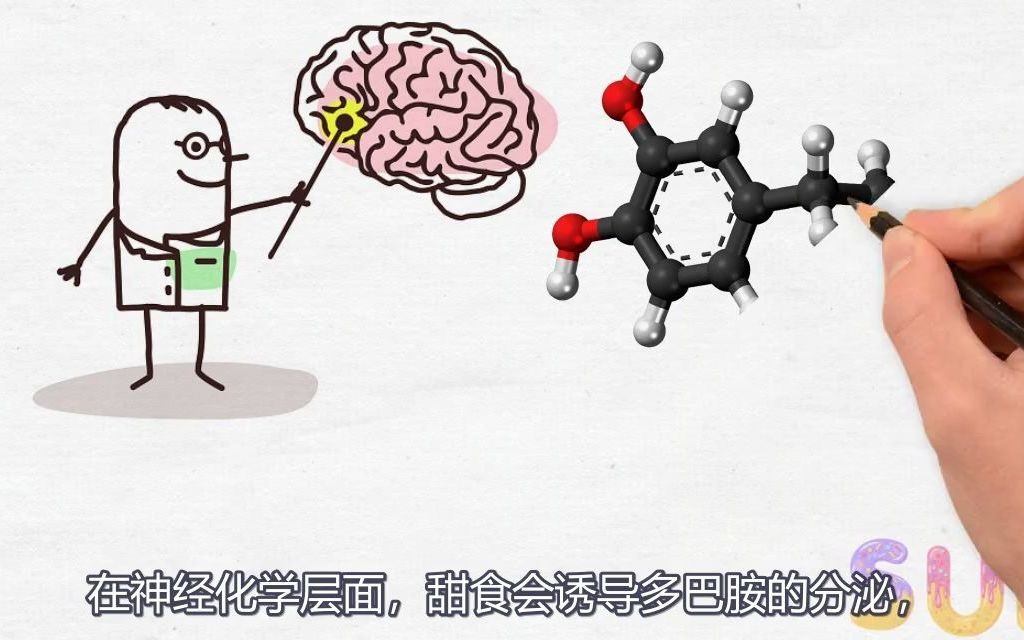 [图]【手绘动画科普】最新研究，糖的危害。你喜欢吃甜食吗？可能上瘾了