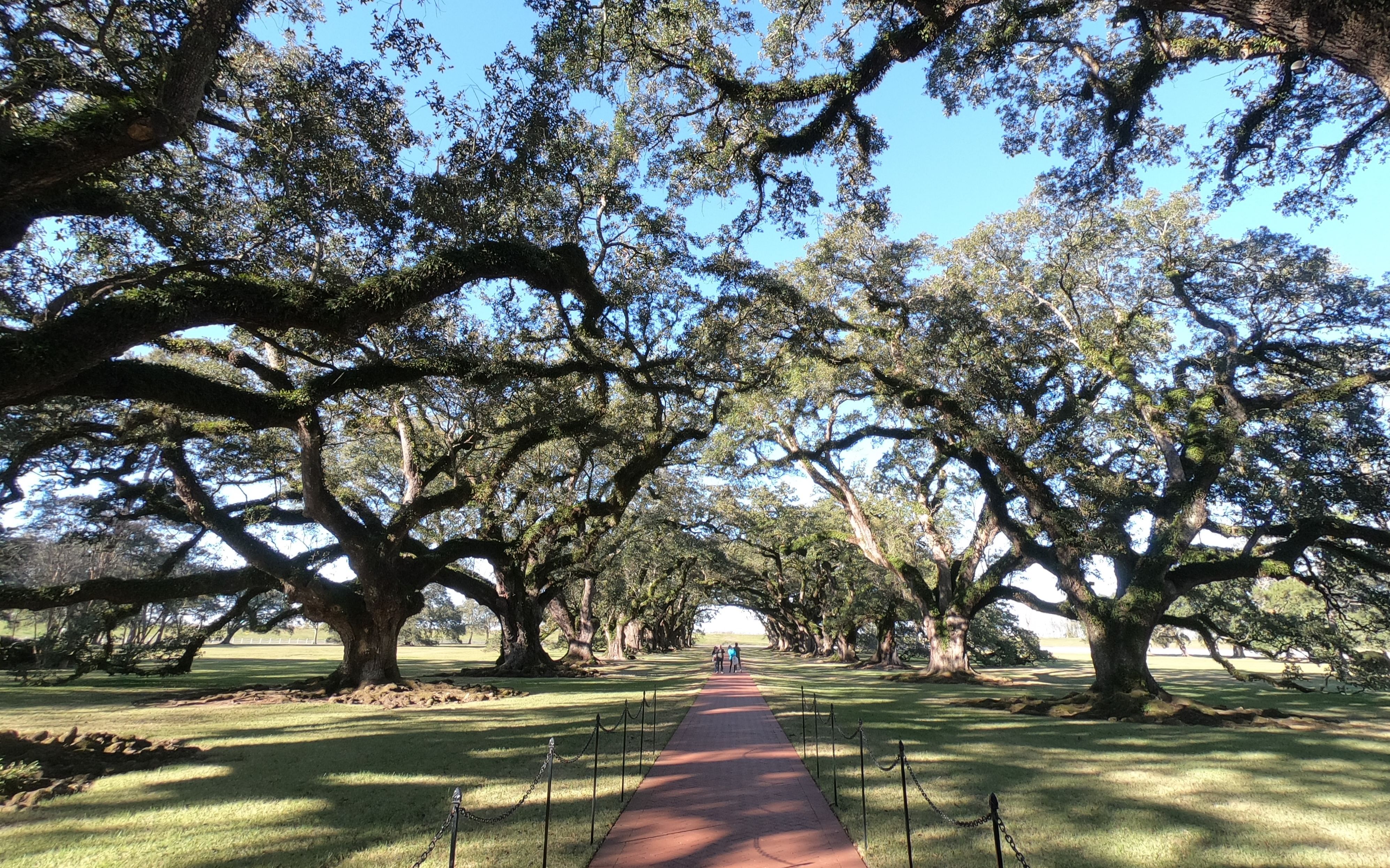 [图]橡树庄园 Oak Plantation