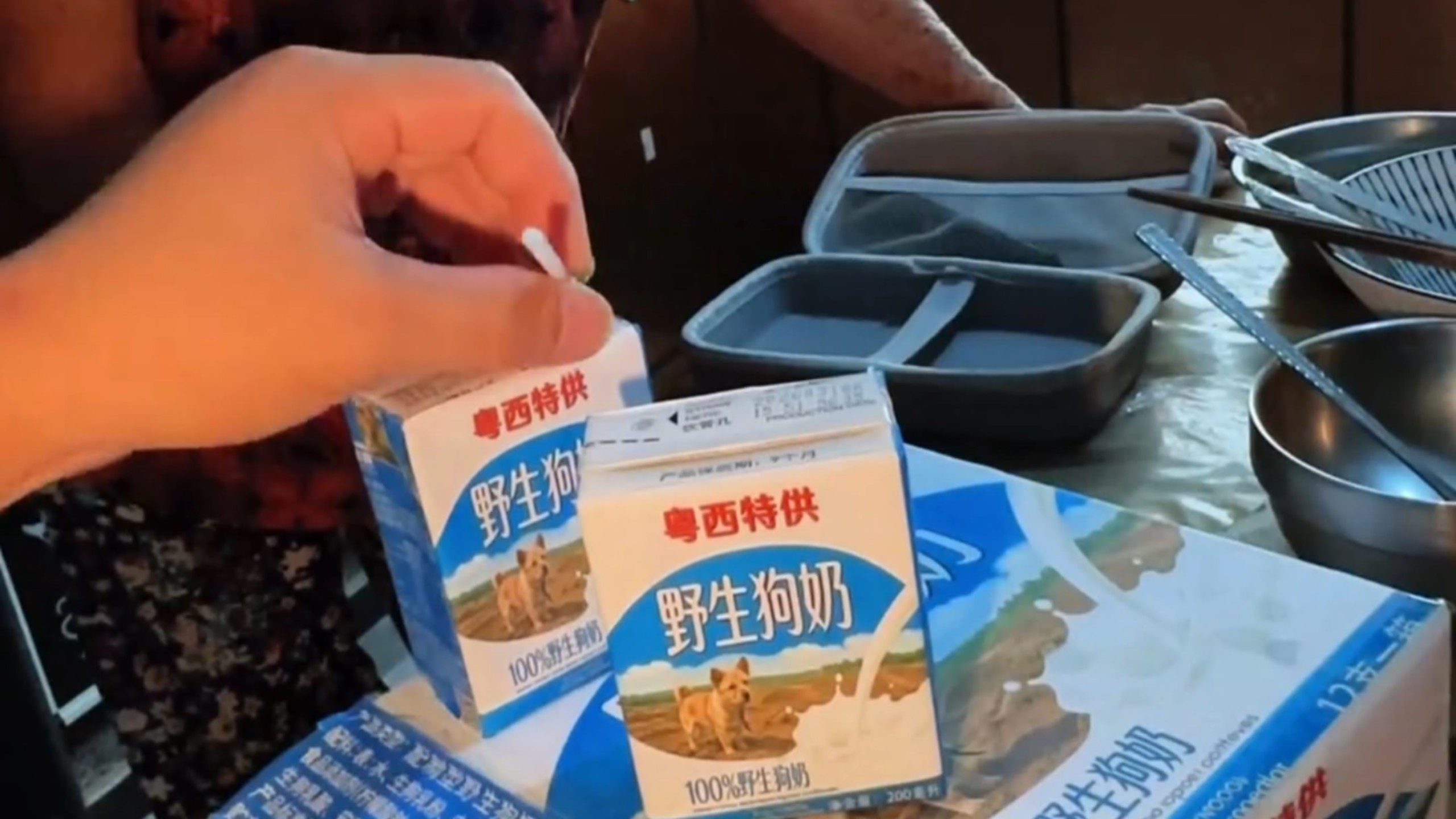网络人物志第80期野生狗奶