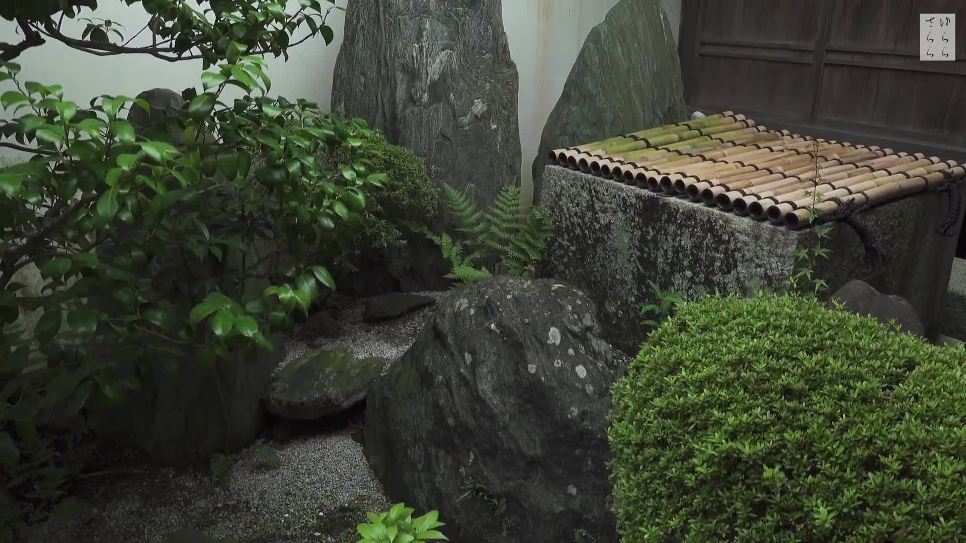 [图][4K] 桂春院 京都の庭園