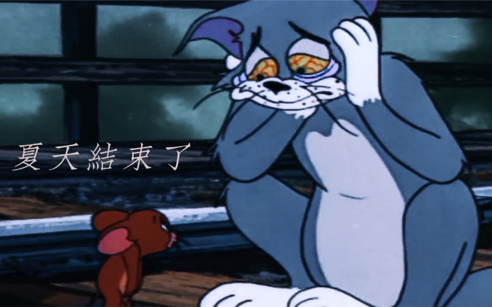 貓和老鼠tomjerry夏天結束了