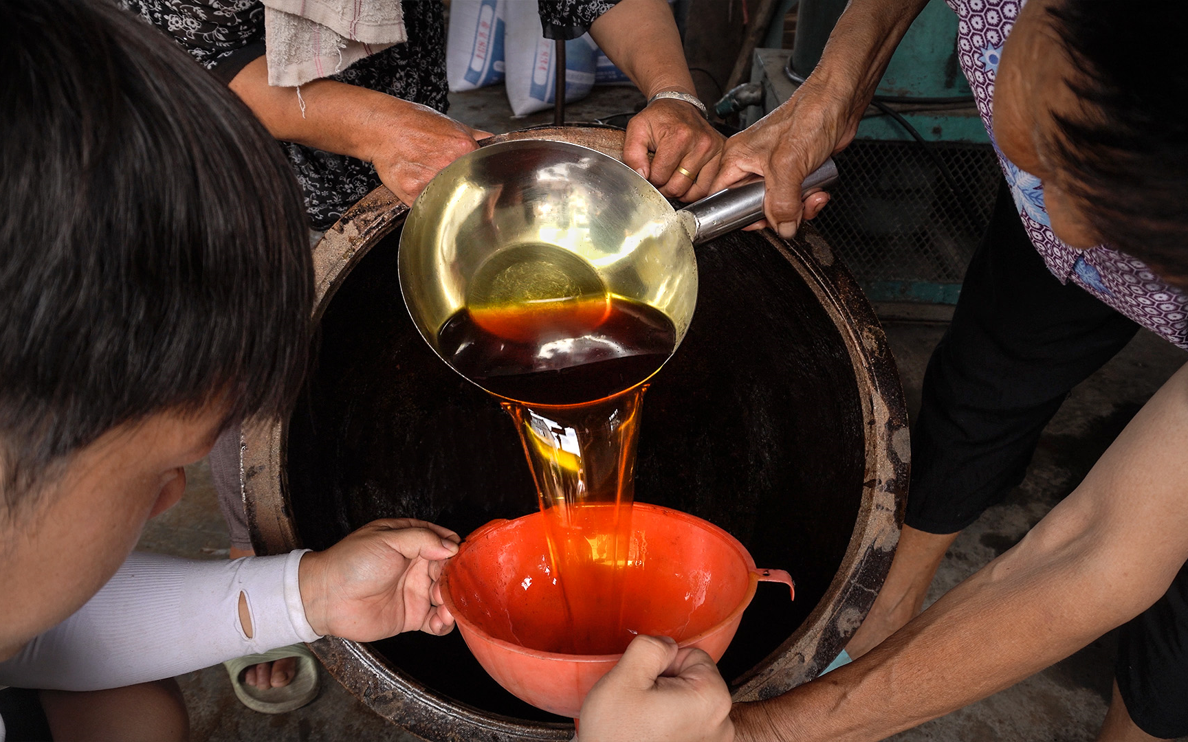 自己买菜籽榨油,顺便去姐妹家摘点苞谷烤着吃