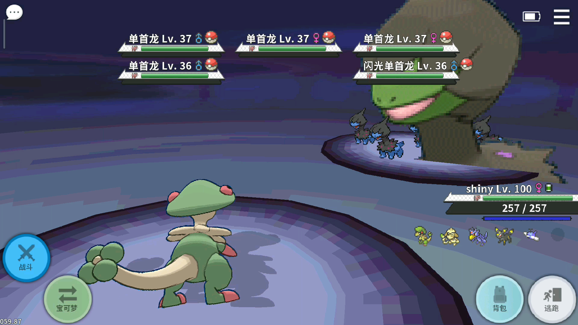 5.17 闪光单首龙