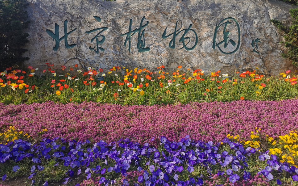 五一北京植物园图片