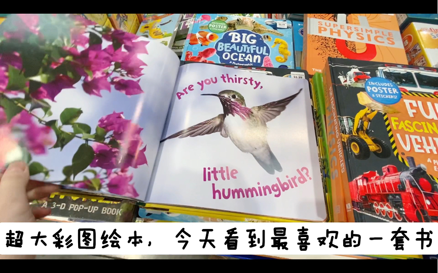 [图]【美国日常】Costco好市多图书上新，各类好书，童书，小说，哈利波特立体折纸，DC百科全书，披头士传记…每次随便翻翻心情都超好！