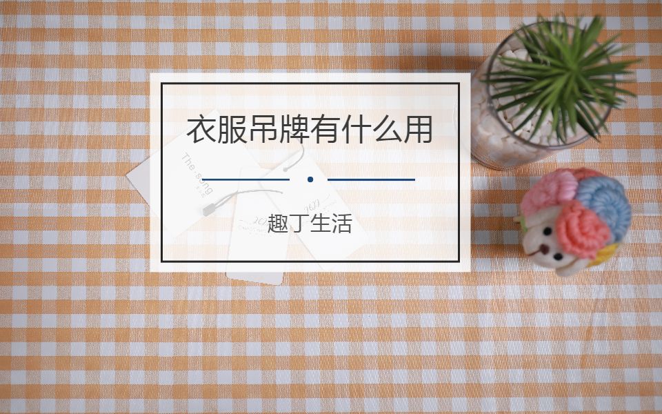 衣服吊牌有什么用?保证看完之后再也舍不得扔了!哔哩哔哩bilibili