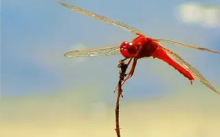 佐藤笃志 搜索结果 哔哩哔哩 Bilibili