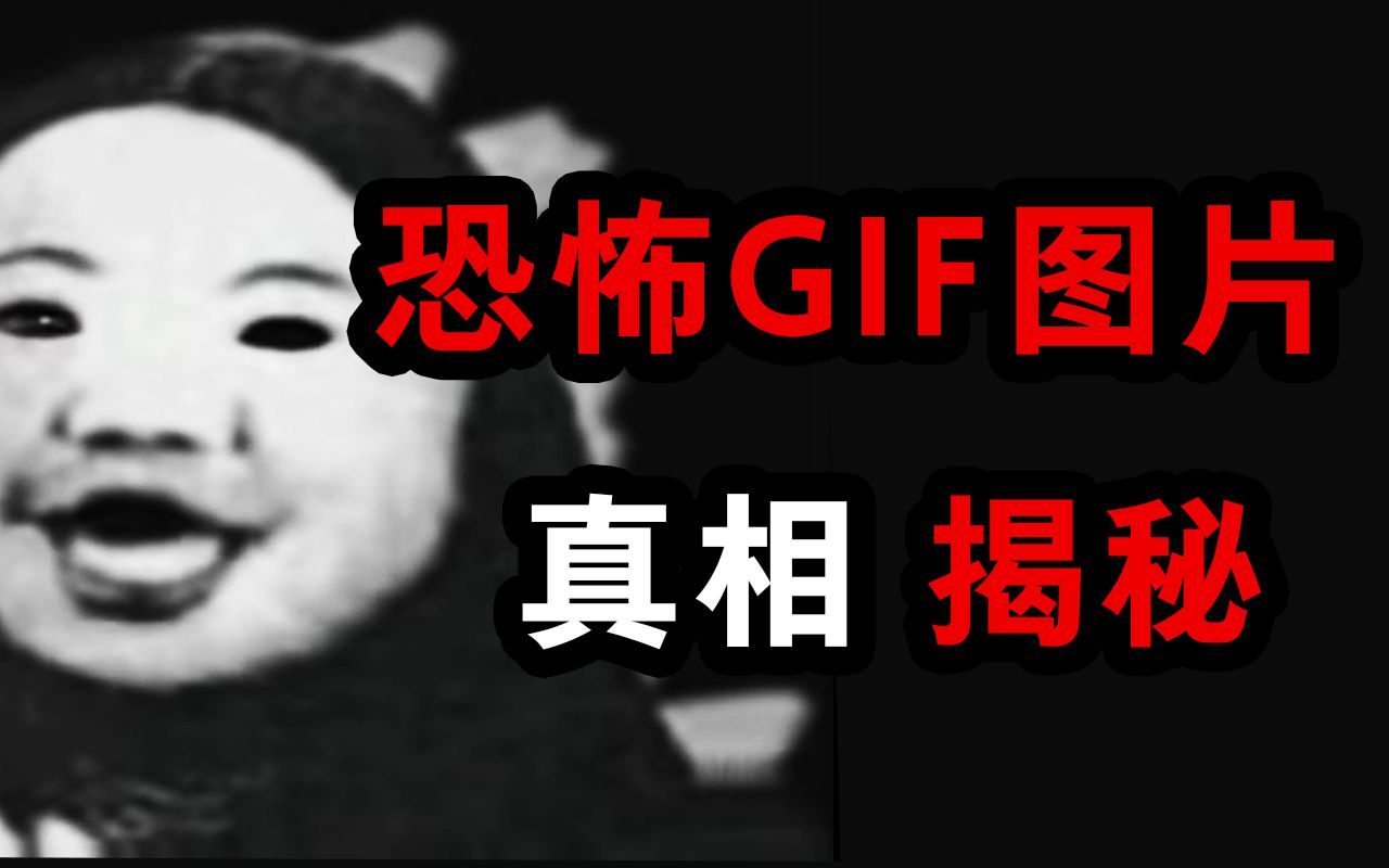 网络上最诡异的gif动图,white house.gif动图背后的真相哔哩哔哩bilibili