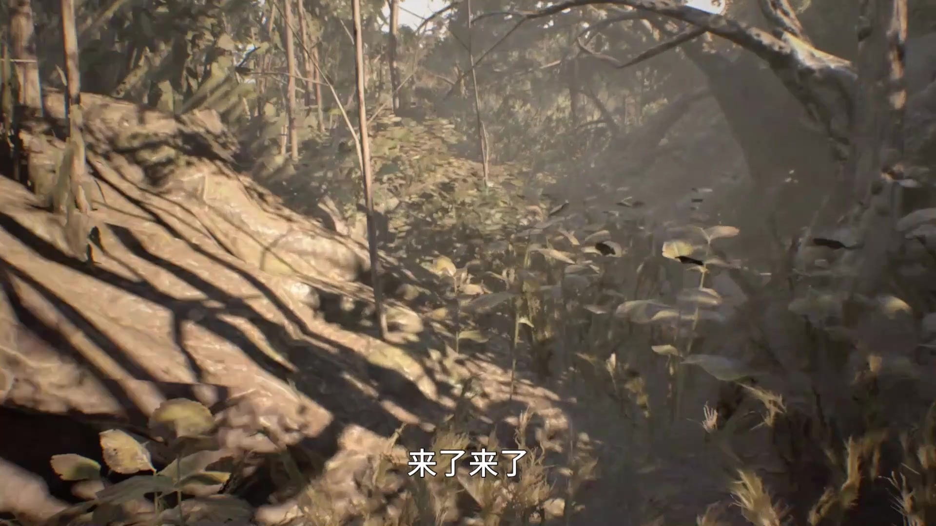 [图]【内含吓人情节，不喜慎入】生化危机7 老婆米娅篇 游戏解说（resident evil 7 Mia）