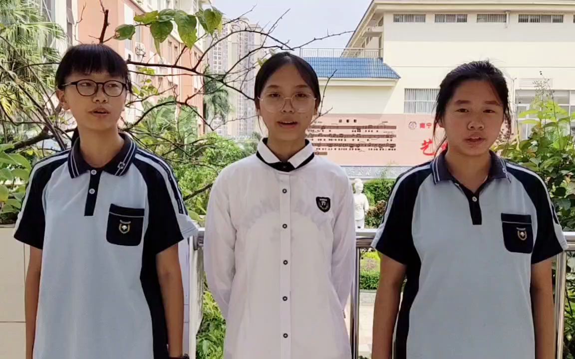 南宁沛鸿民族中学校服图片