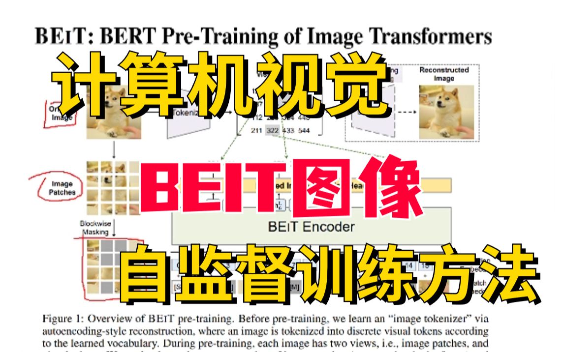 【唐宇迪论文带读】计算机视觉BEIT图像自监督训练方法,知识点通俗易懂哔哩哔哩bilibili