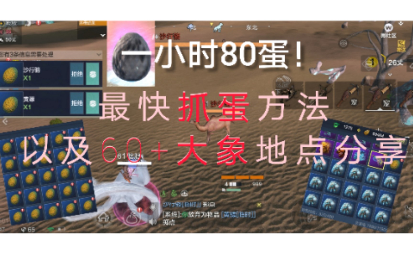 『妄想山海』最快抓蛋方法及地点! 60级大象捕捉地点.