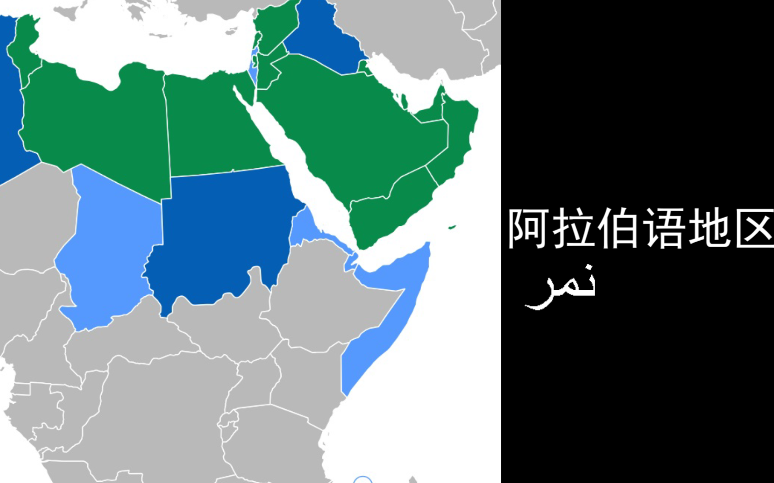 世界各地20种语言中的＂老虎＂文字发音哔哩哔哩bilibili