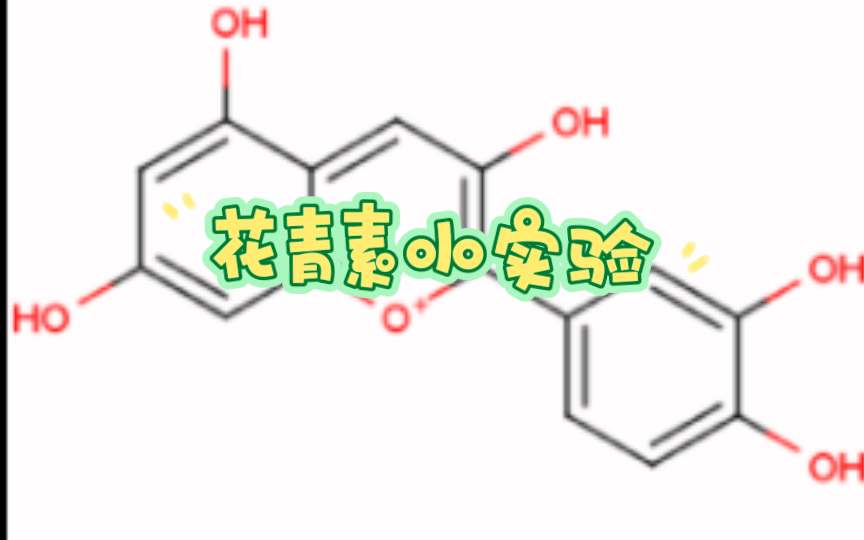 花青素小实验哔哩哔哩bilibili