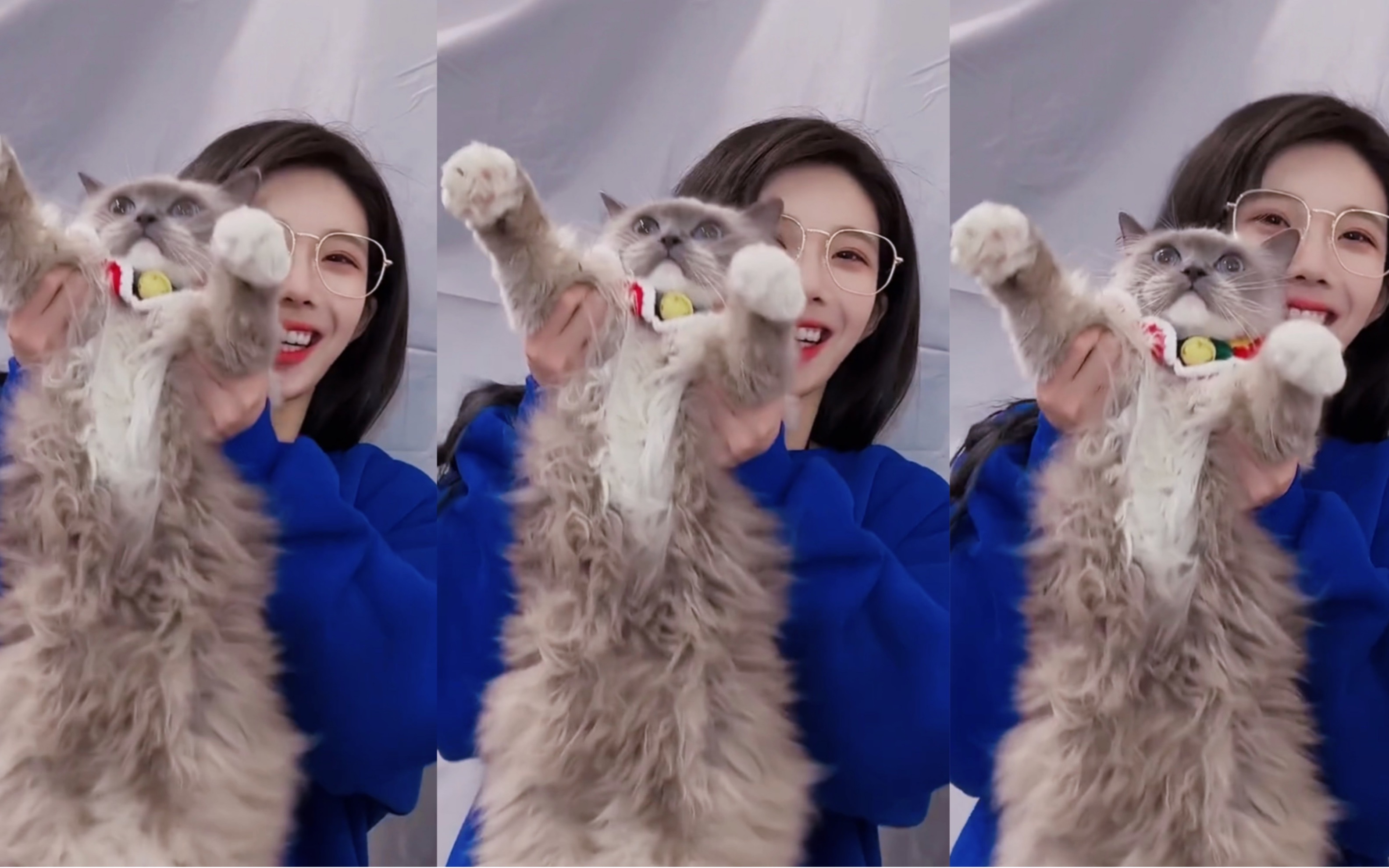 snh48沈梦瑶沈梦瑶携玩偶唱跳donttouch