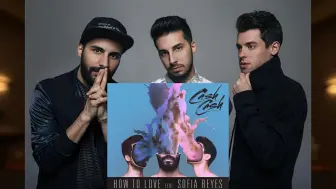 Download Video: 「爆火小曲｜不插电版」How To Love (Acoustic) - Cash Cash, Sofia Reyes