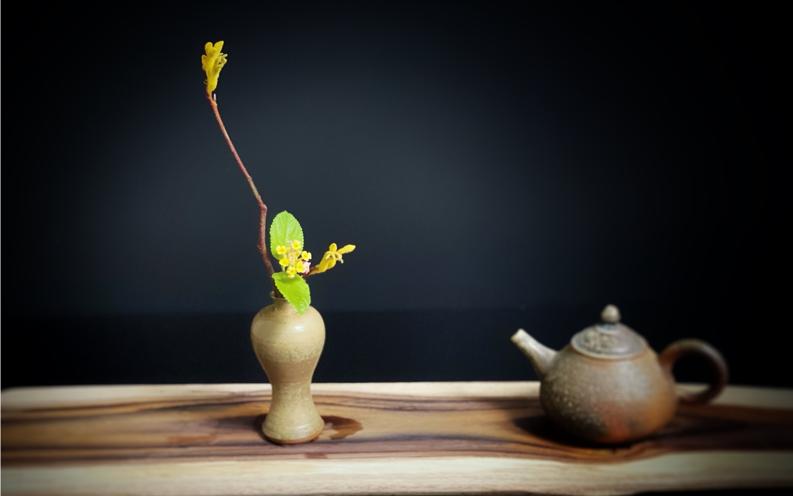 中华花艺之茶席花