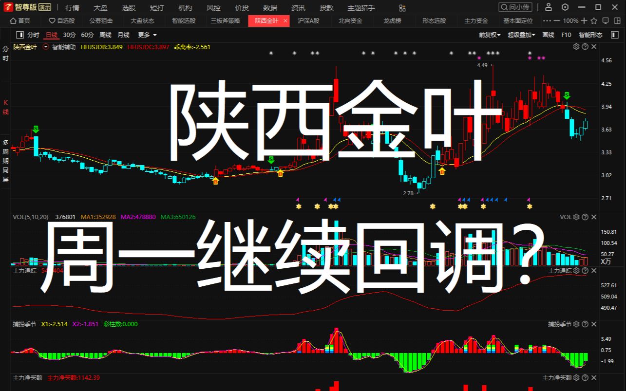 【A股个股分析】陕西金叶主力资金开始流入,周一继续回调或大涨?哔哩哔哩bilibili