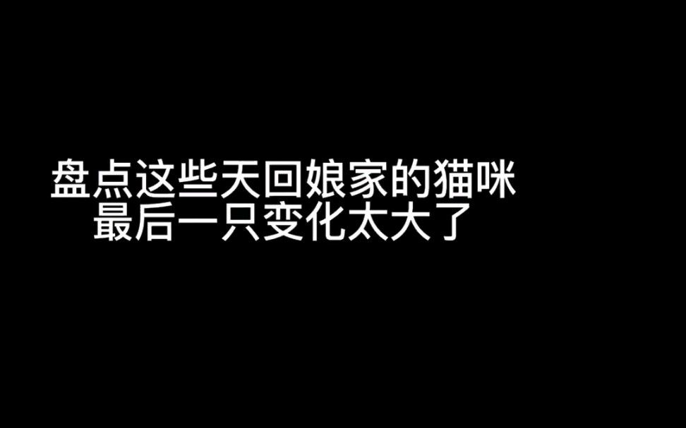 它们都是经历过九死一生才遇到了心软的人把它们治好并找到了一个幸福的家,最近回来基地,看到变化真的太大了,是时候考验一下你们了,还记得它们的...