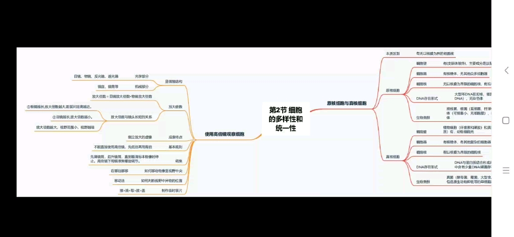 [图]思维导图，第2节细胞的多样性和统一性