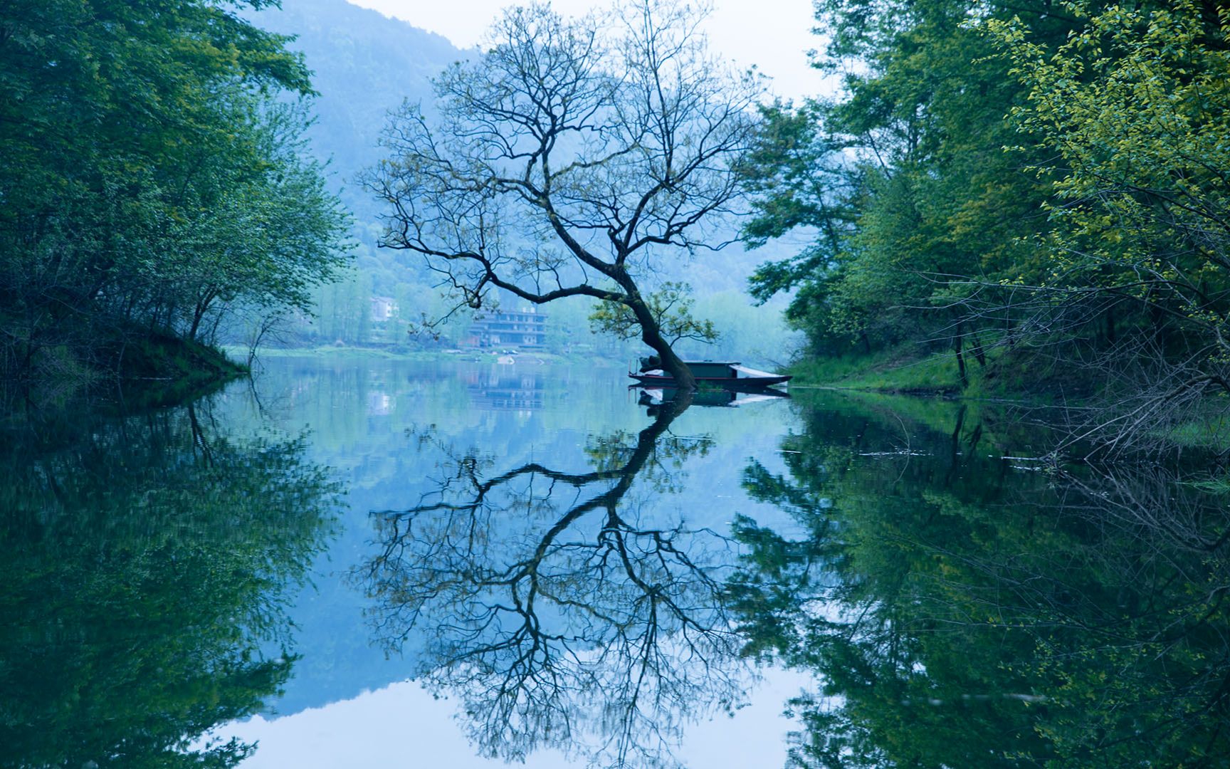 【二十四節氣 · 穀雨】 穀雨春光曉,山川黛色青