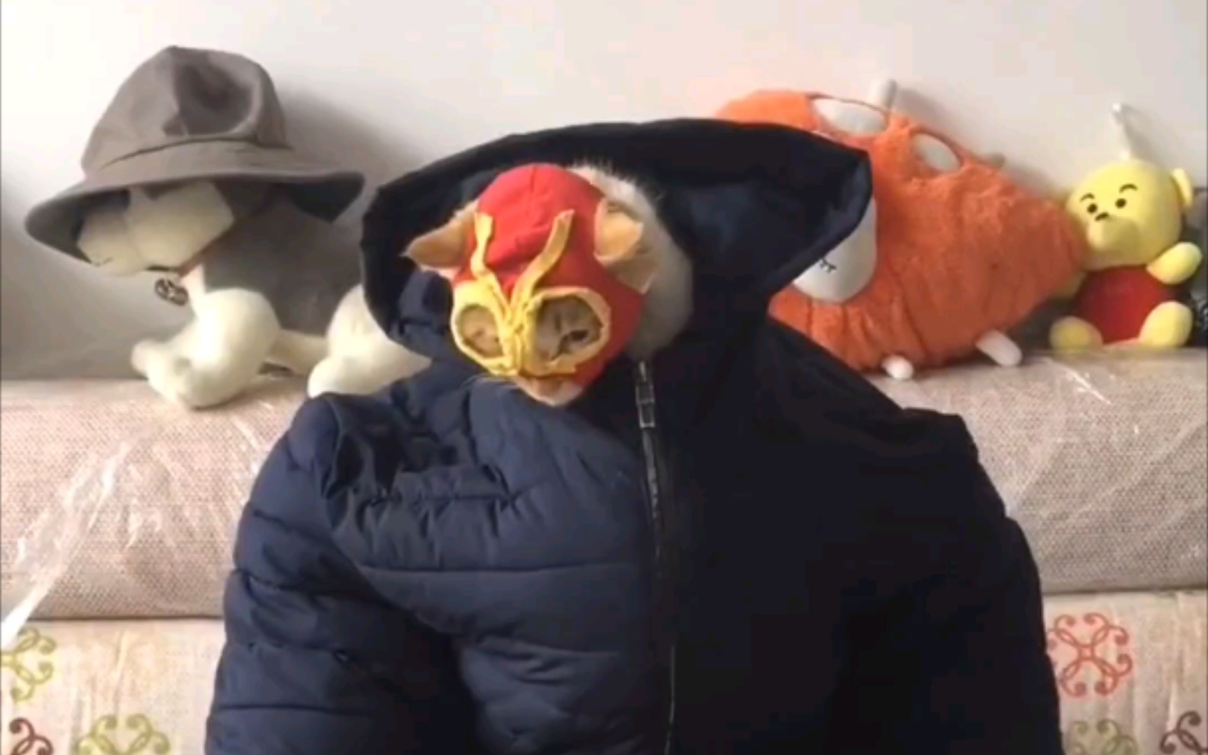 牛战士和猫战士の合体