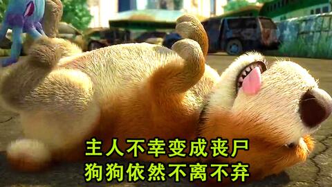 主人不幸变成丧尸,狗狗依然不离不弃