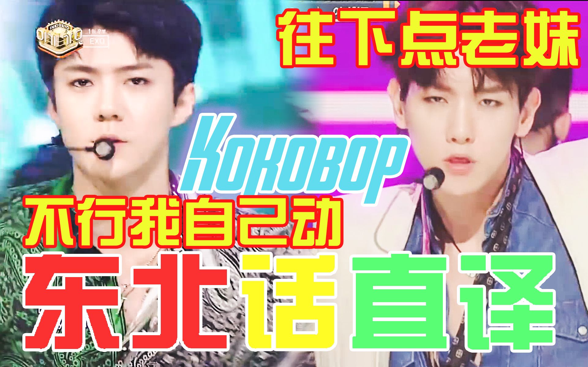 EXO听了想搓澡 KOKOBOP东北话直译翻唱哔哩哔哩bilibili