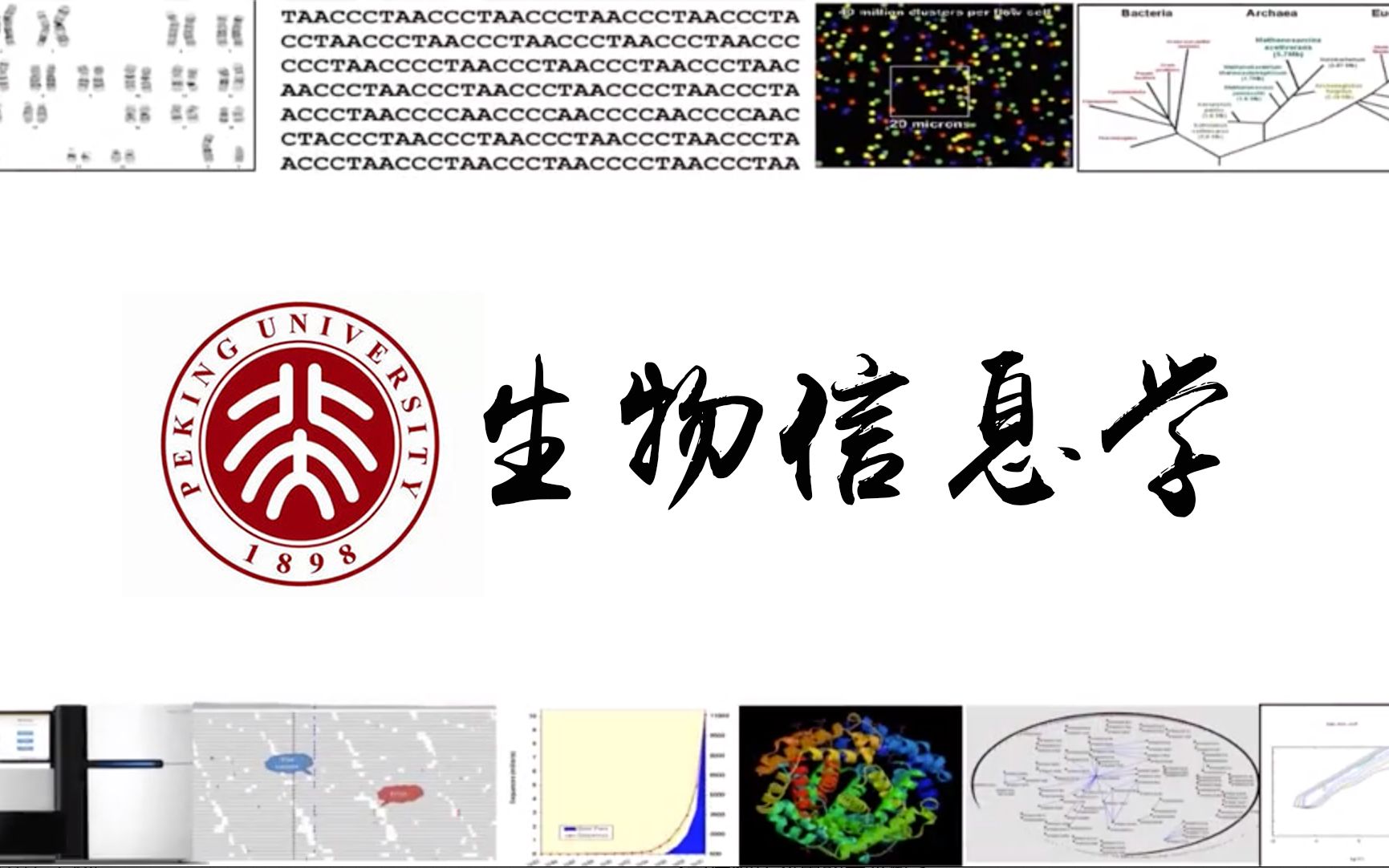 [图]【推荐课程】北京大学生物信息学:学习方法(完整带课件）