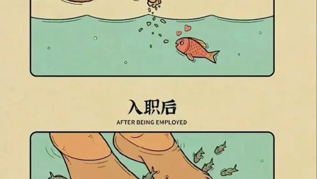 面试时vs入职后