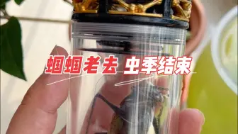 出于泥土，归于泥土，给虫季正式告个别吧