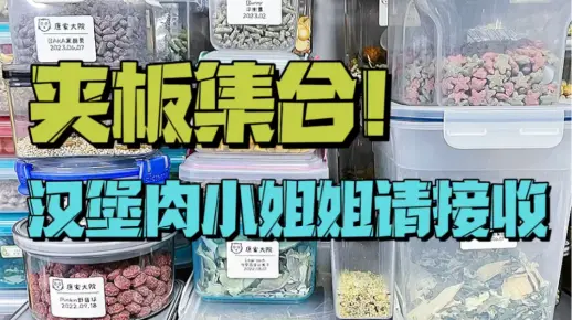康·解压声控｜又是超爽的拍单子！夹板们集合啦！
