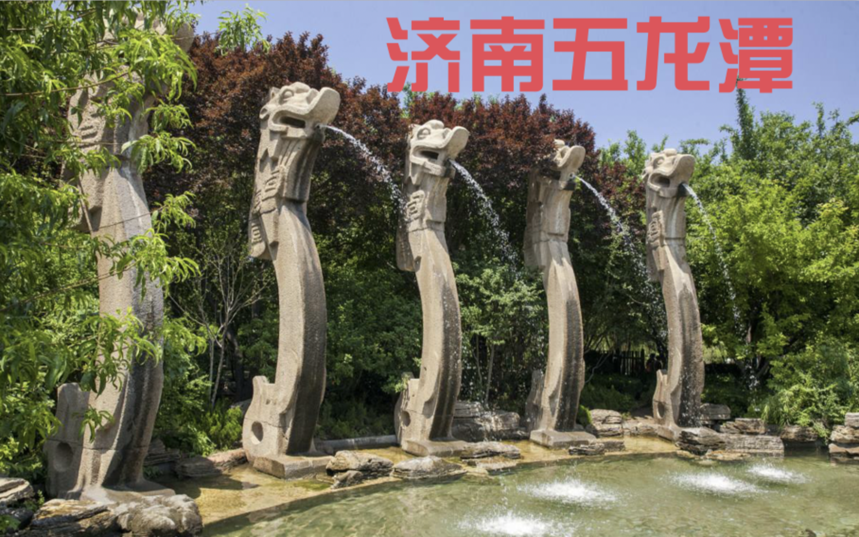 老高进货～随手拍～济南五龙潭～附诗 曲桥观鱼
