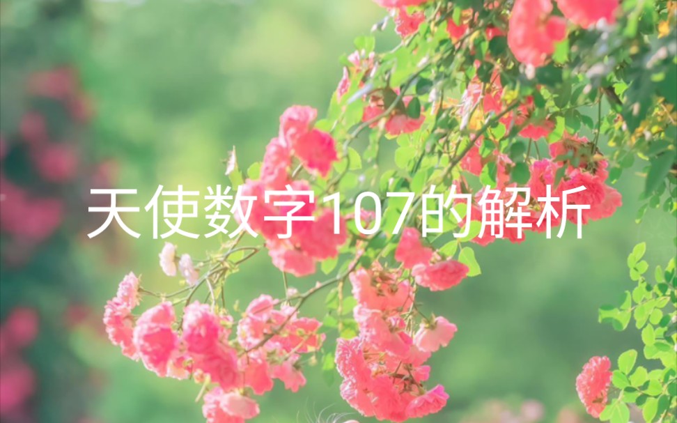 天使数字107的解析,给有缘人