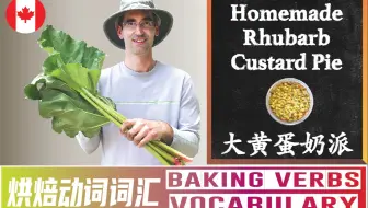 大黄收获了！烤制风靡北美的大黄蛋奶派 - 学习烘焙动词英文词汇