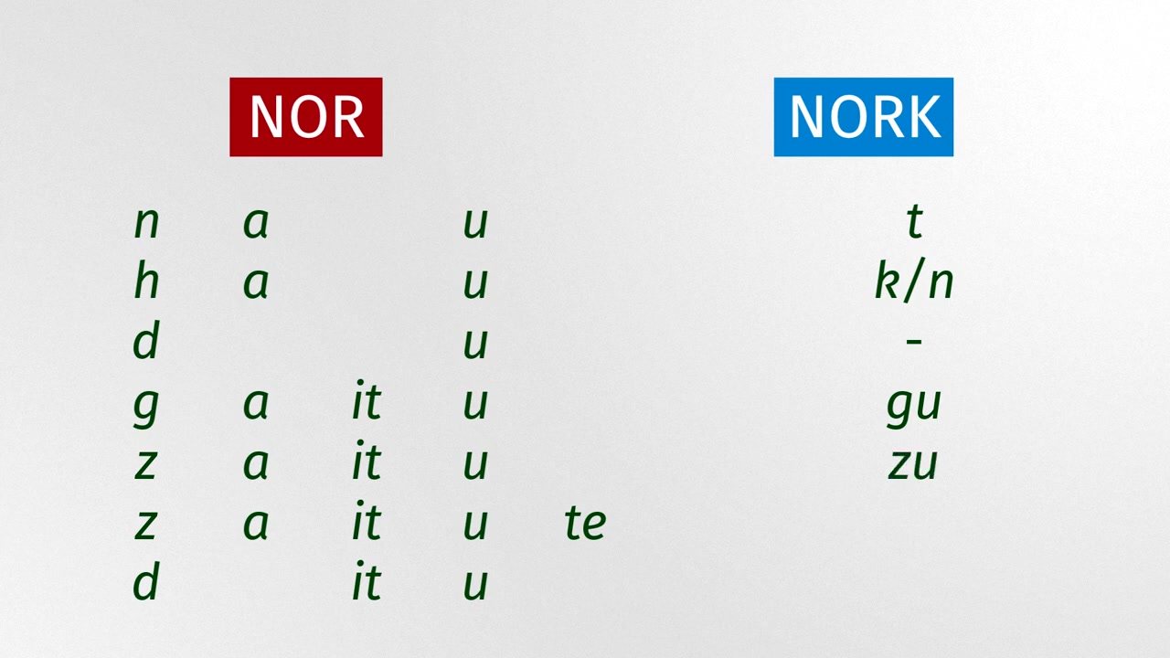 「巴斯克语教程」Verbo NORNORK en presente  Estructura del Euskera哔哩哔哩bilibili