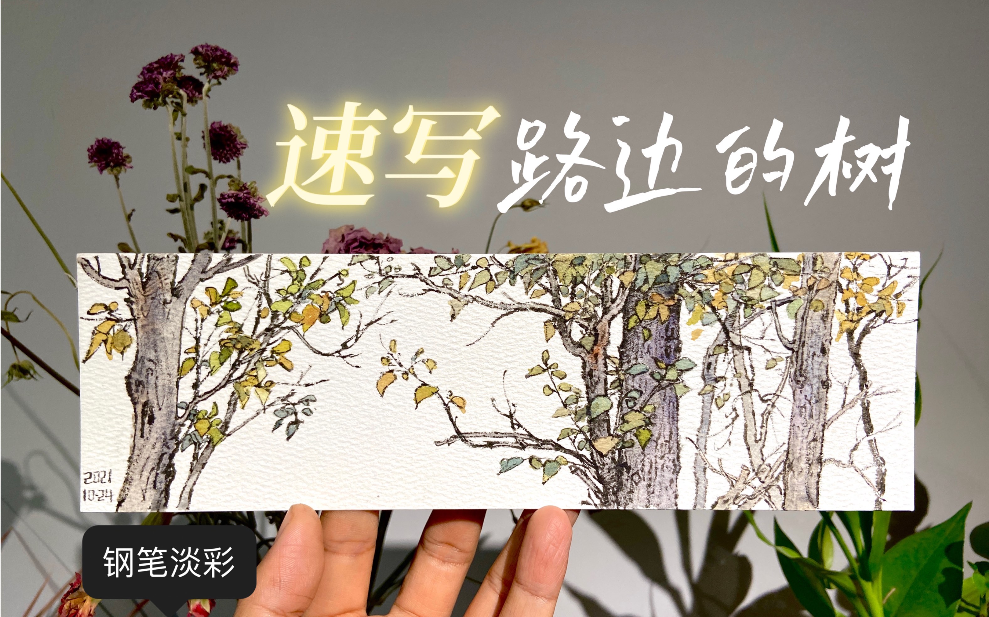 【钢笔淡彩】节约用纸,是种美德.哔哩哔哩bilibili