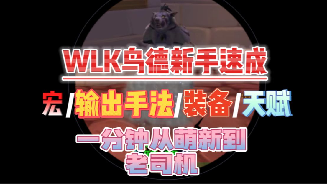 《魔兽世界》WLK鸟德输出循环/宏,新手也能看懂哔哩哔哩bilibili