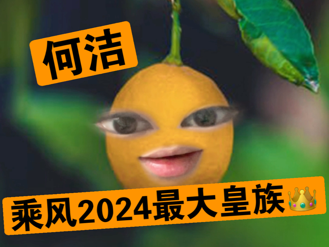 【乘风2024】何洁,乘风破浪中最大的皇族!芒果这是要在五公明着捧了呗,恶心的排名哔哩哔哩bilibili