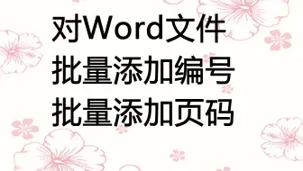 对Word文件批量加编号、加页码