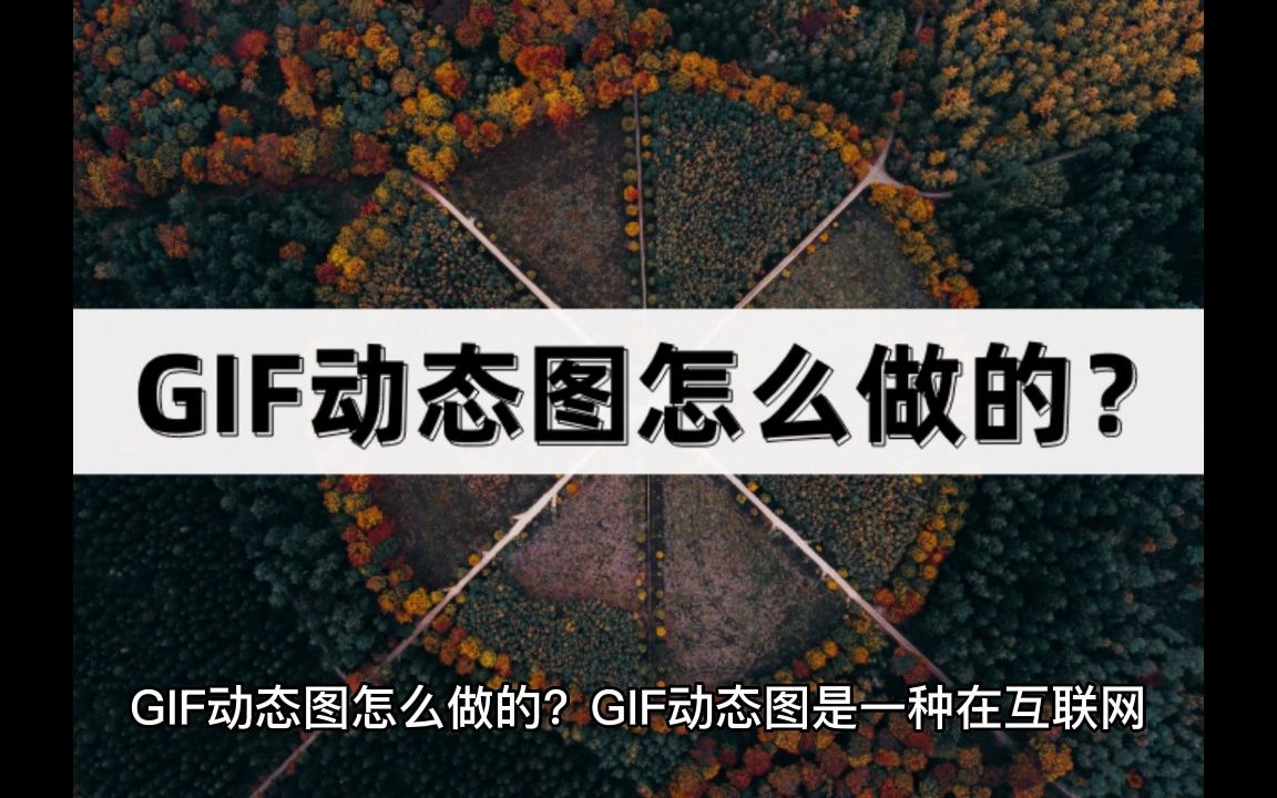 GIF动态图怎么做的?分享常用的制作软件哔哩哔哩bilibili