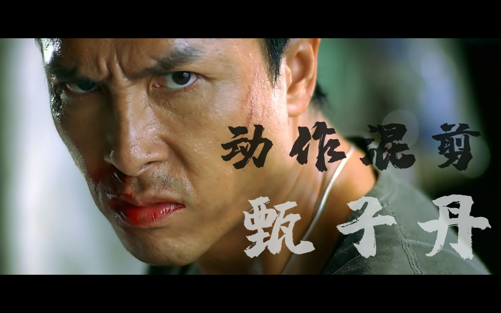 【4分钟混剪甄子丹经典】【打戏混剪】翻译一下,什么他妈的叫过瘾