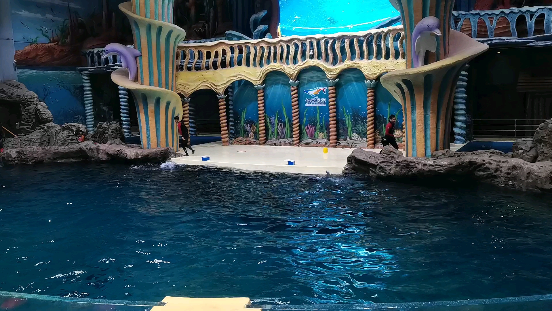 海洋馆之海豚98表演